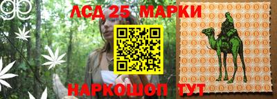 молекула духа Гай