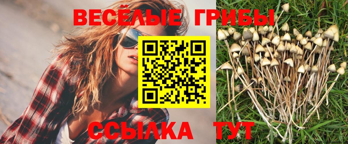 Псилоцибиновые грибы Psilocybe  Вход с VPN  Нижневартовск  Галлюциногенные грибы ЛСД 